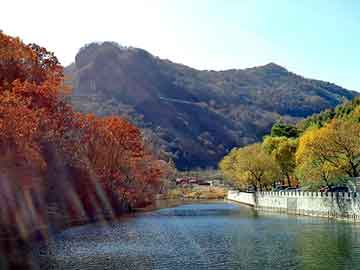 新澳天天开奖资料大全旅游团，蜘蛛池